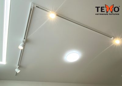 Натяжной потолок ПВХ с трековым освещением