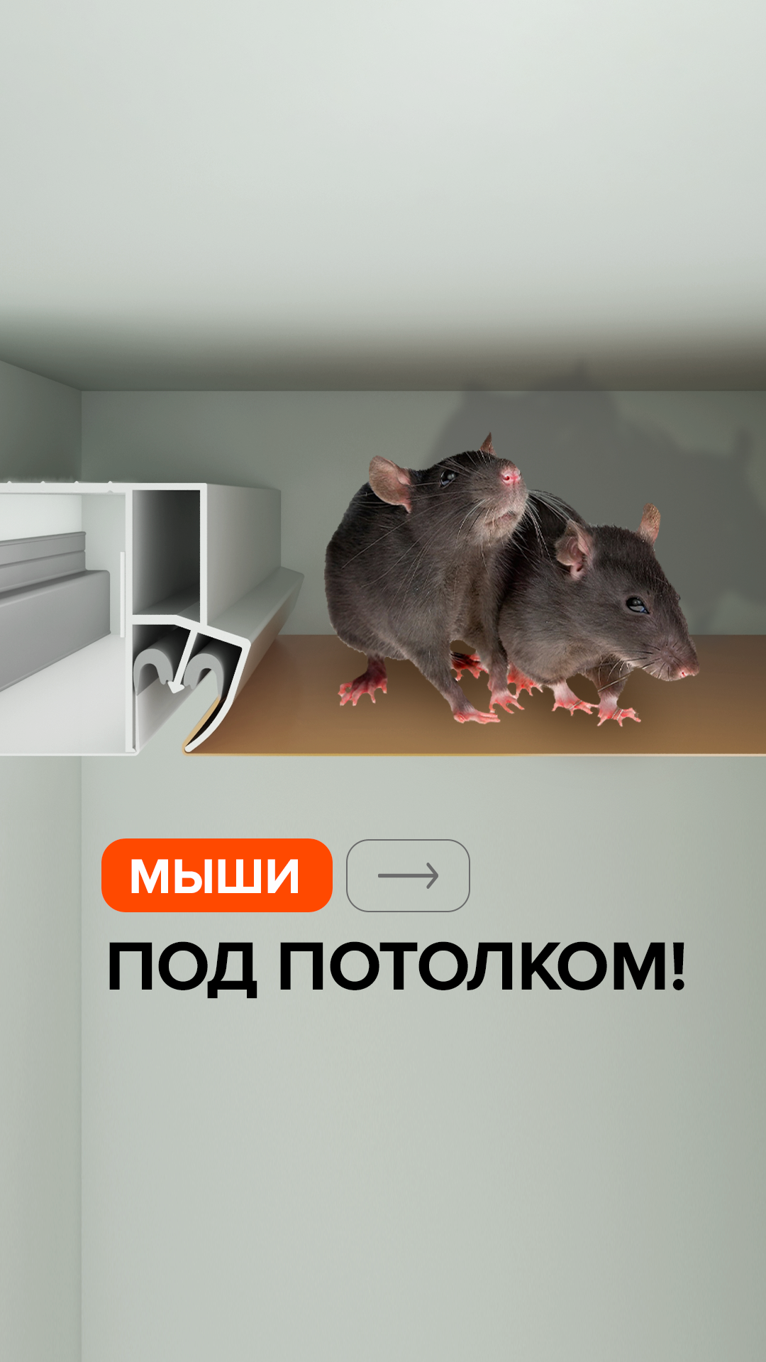 Видео - 121