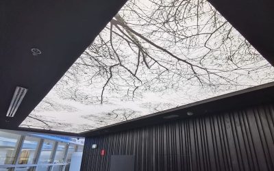 Натяжной потолок с фотопечатью Натяжной потолок с фотопечатью