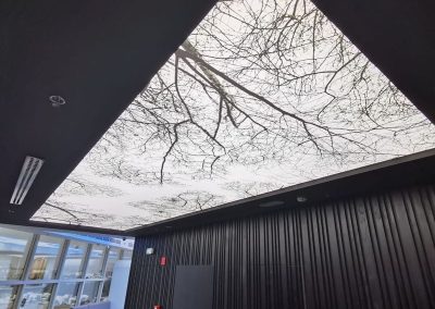 Натяжной потолок с фотопечатью